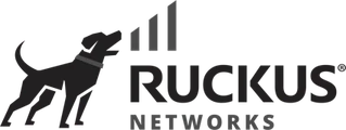 Ruckus Networks