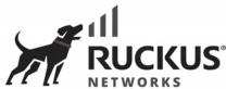 Ruckus Networks
